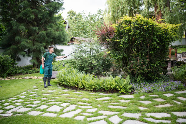 Best Pest Control Near Me  in Golden Beach, MD