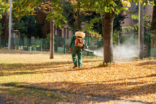 Wasp Removal Services in Golden Beach, MD