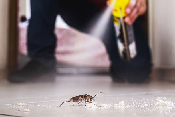 Best Pest Prevention Services  in Golden Beach, MD