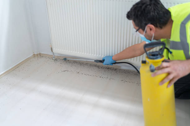 Reliable Golden Beach, MD Pest Control Solutions